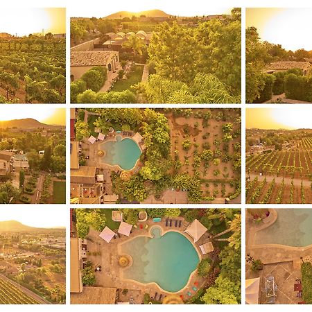 Agroturismo Sa Vinya Des Convent Inca Kültér fotó
