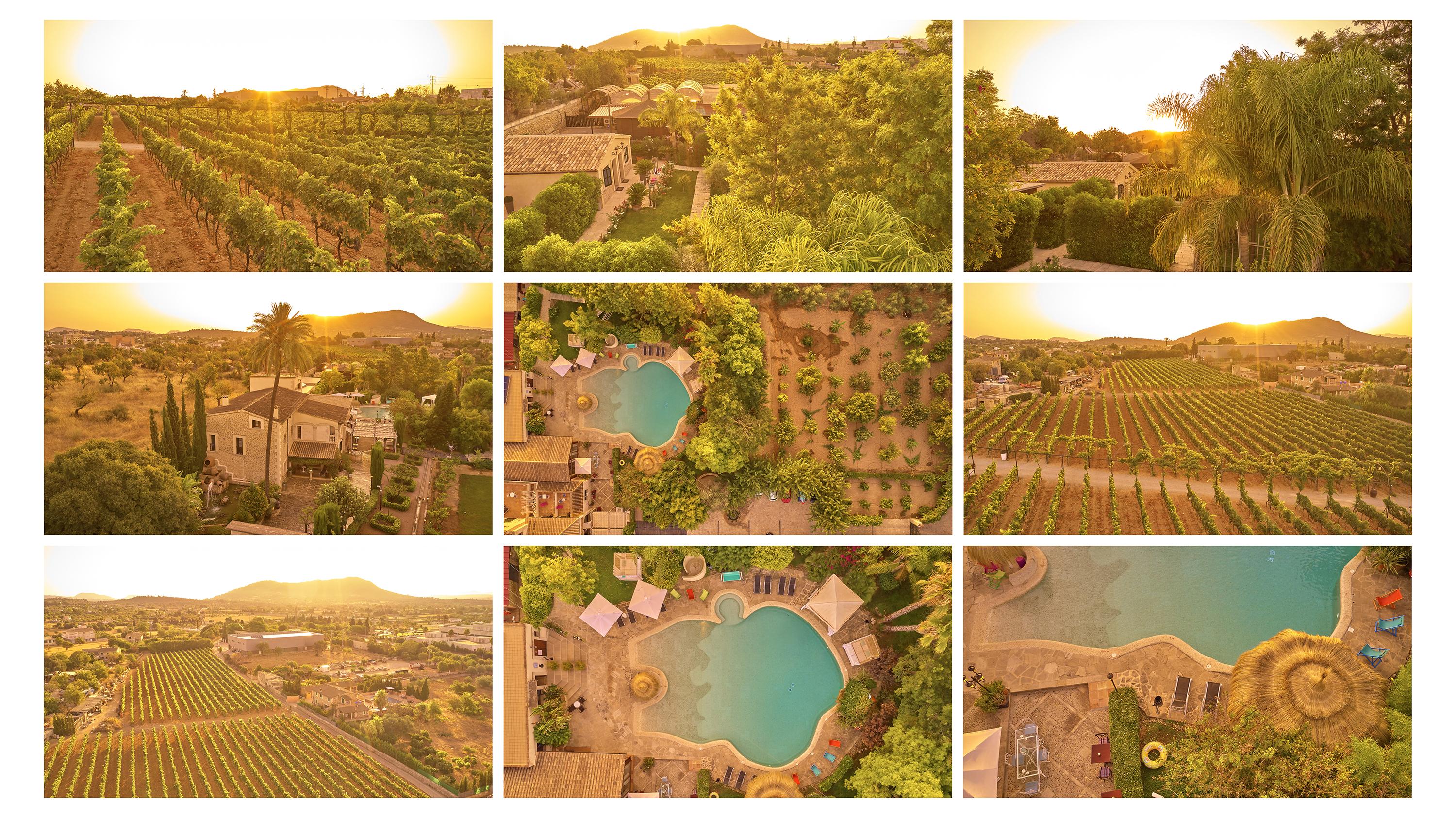 Agroturismo Sa Vinya Des Convent Inca Kültér fotó